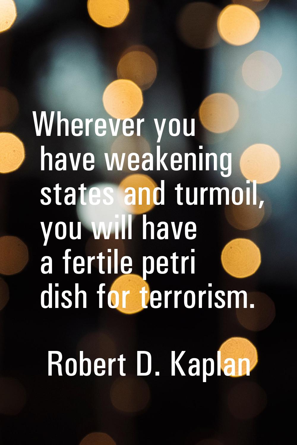 Wherever you have weakening states and turmoil, you will have a fertile petri dish for terrorism.