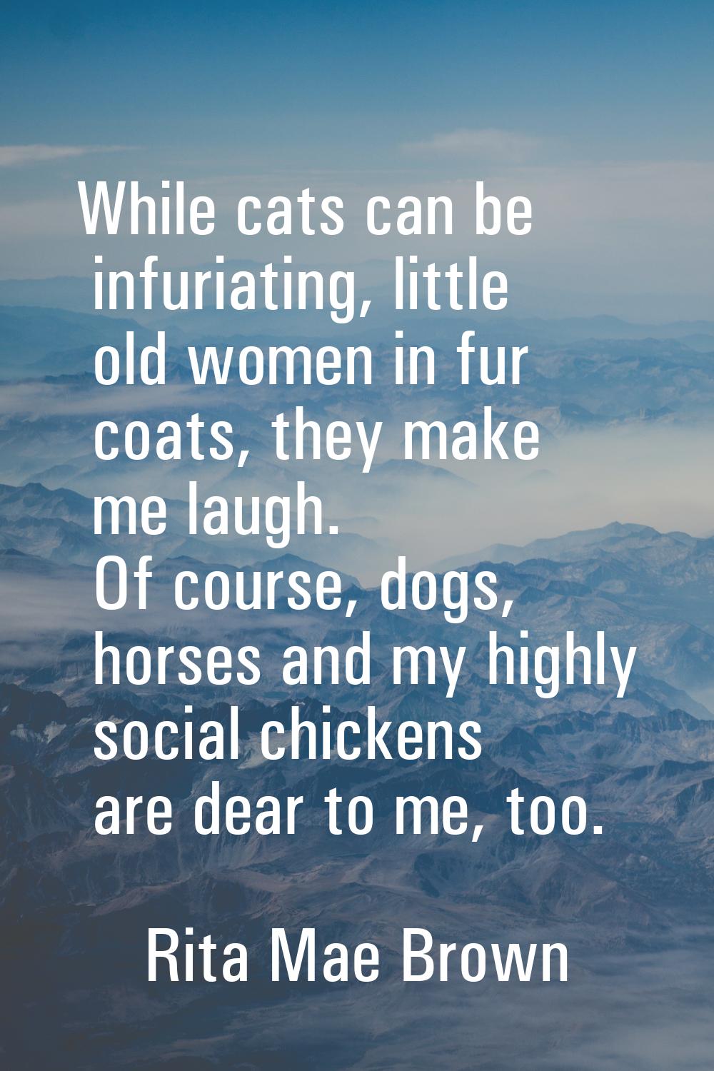 While cats can be infuriating, little old women in fur coats, they make me laugh. Of course, dogs, 
