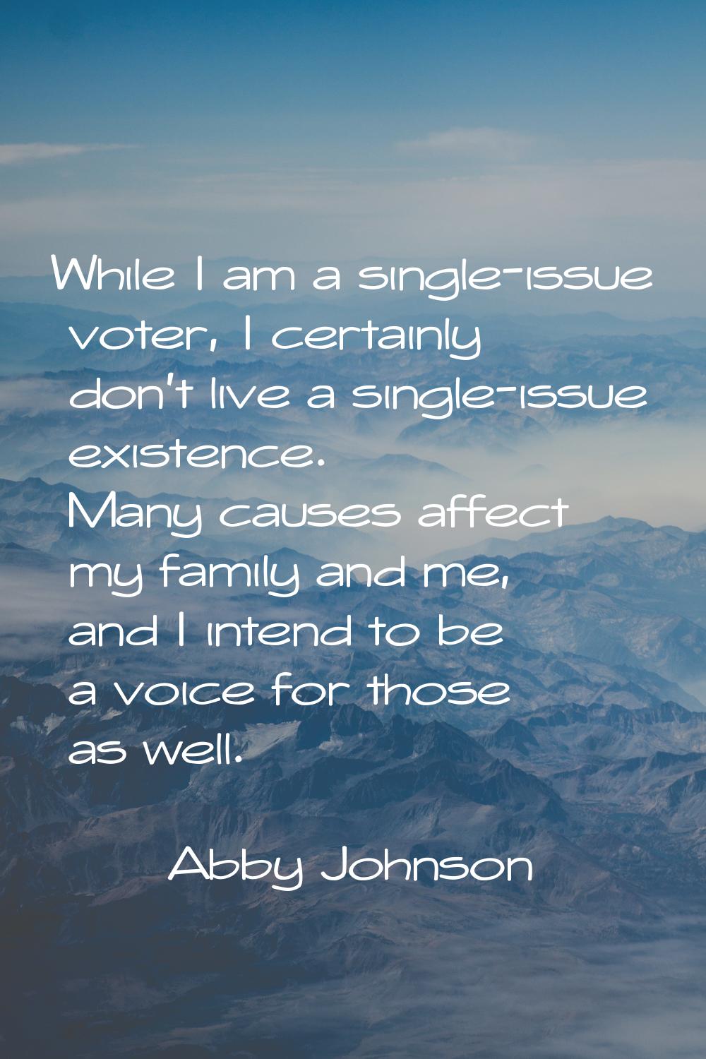 While I am a single-issue voter, I certainly don't live a single-issue existence. Many causes affec