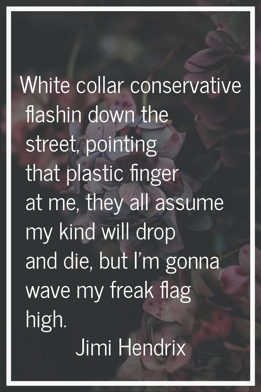White collar conservative flashin down the street, pointing that plastic finger at me, they all ass