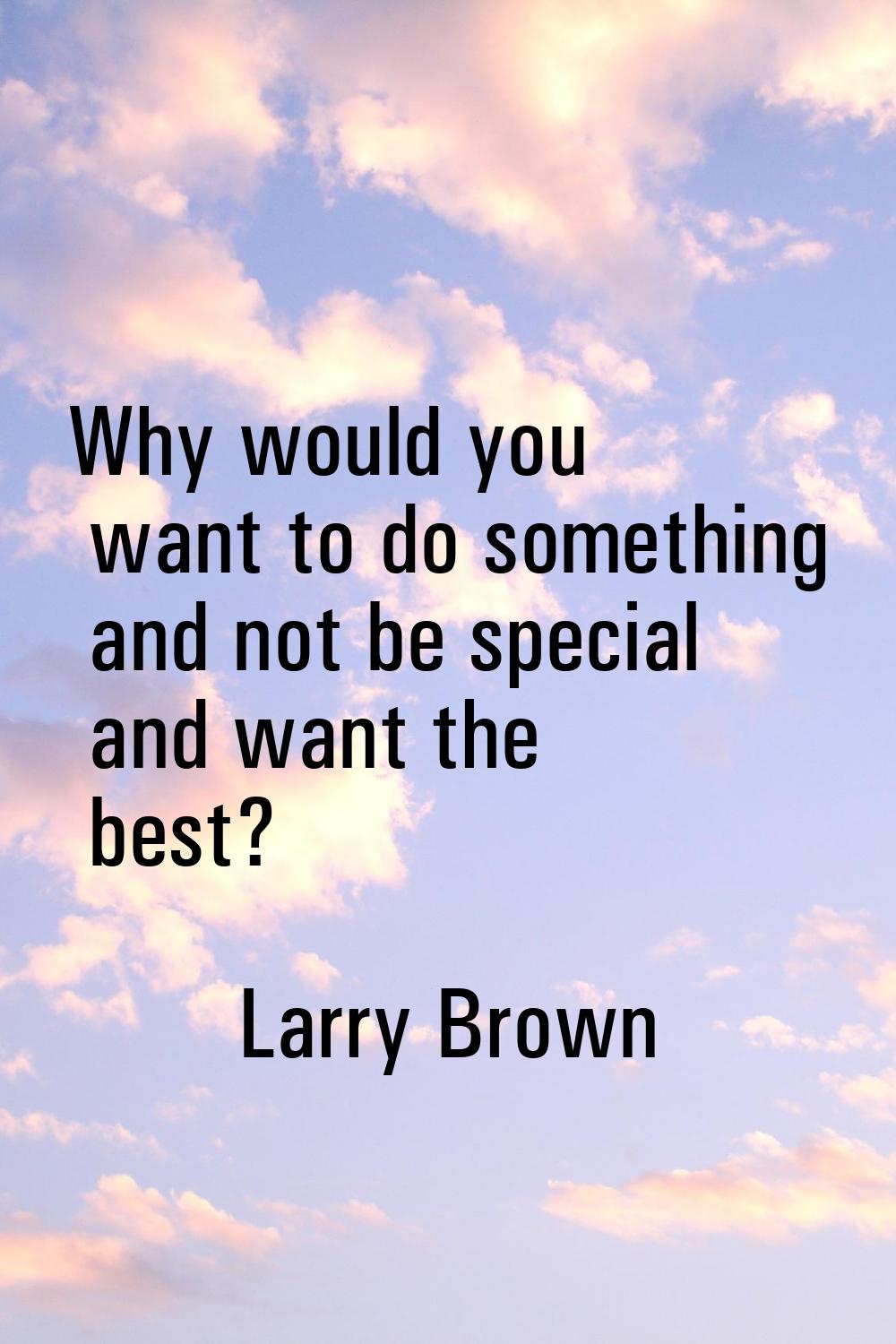 Why would you want to do something and not be special and want the best?