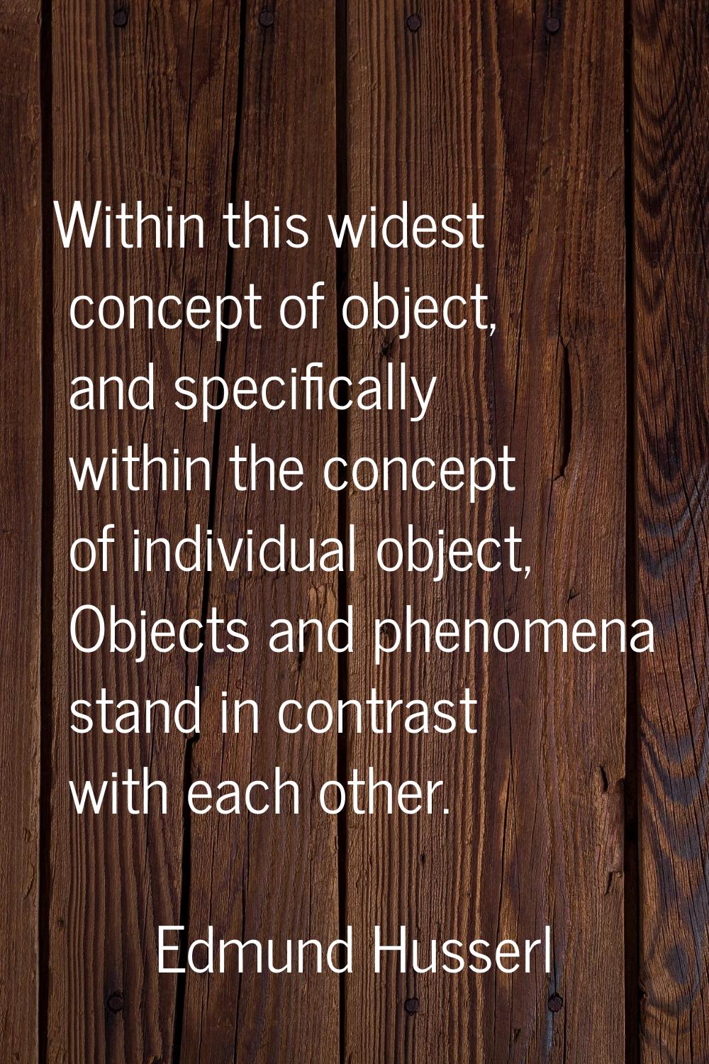 Within this widest concept of object, and specifically within the concept of individual object, Obj