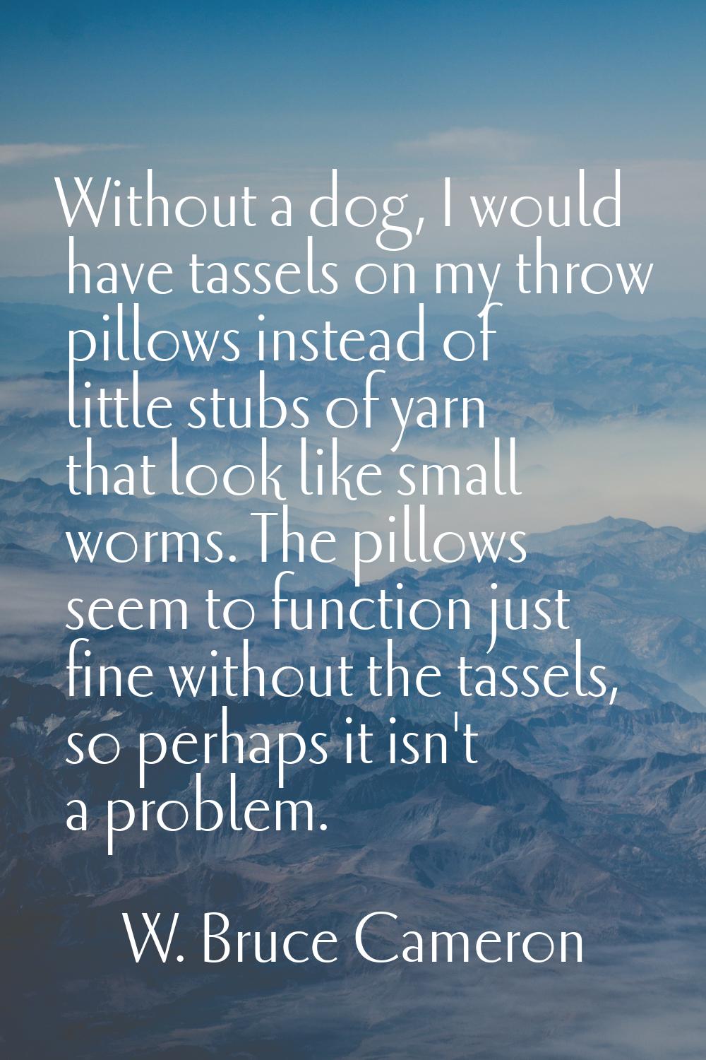 Without a dog, I would have tassels on my throw pillows instead of little stubs of yarn that look l