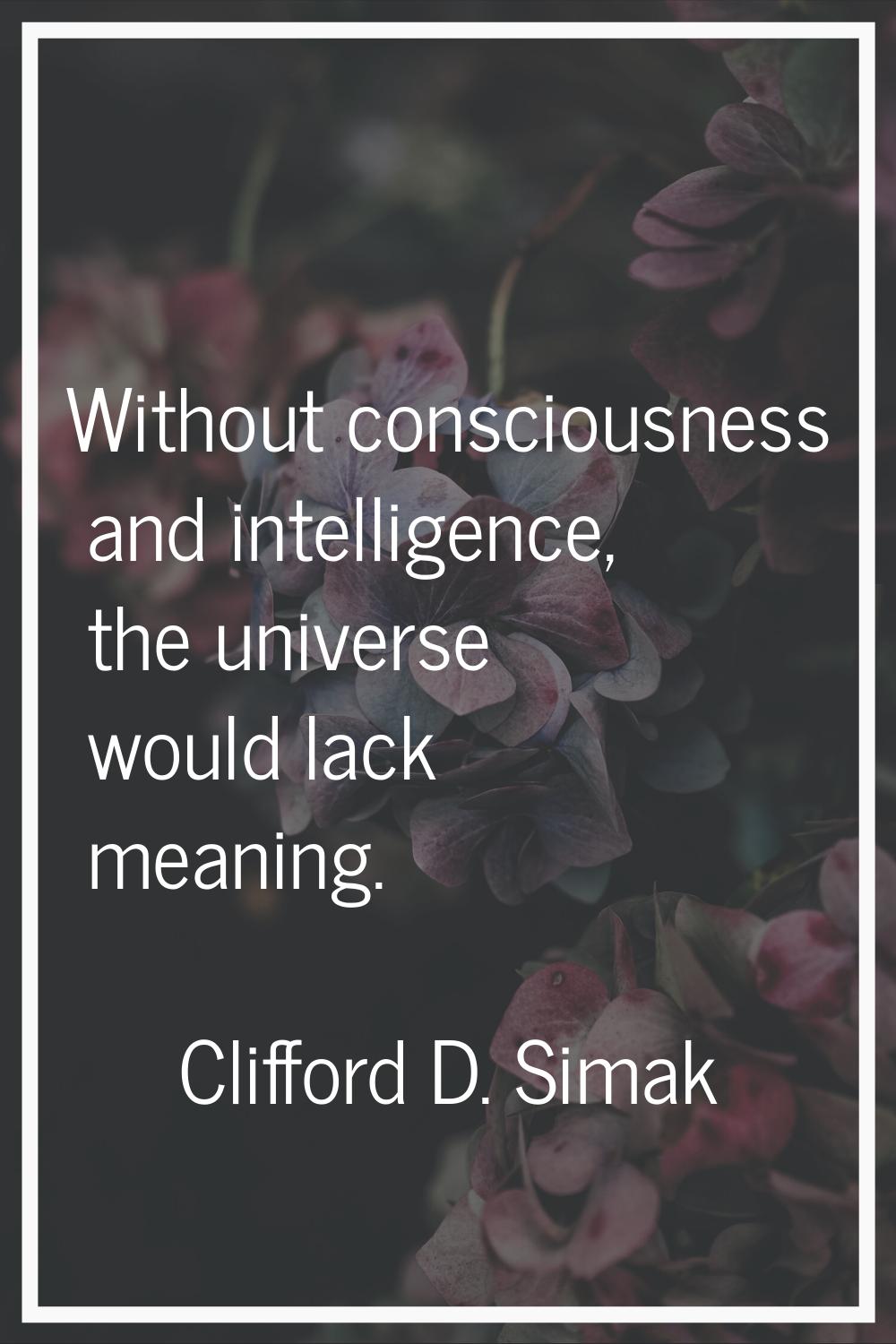 Without consciousness and intelligence, the universe would lack meaning.