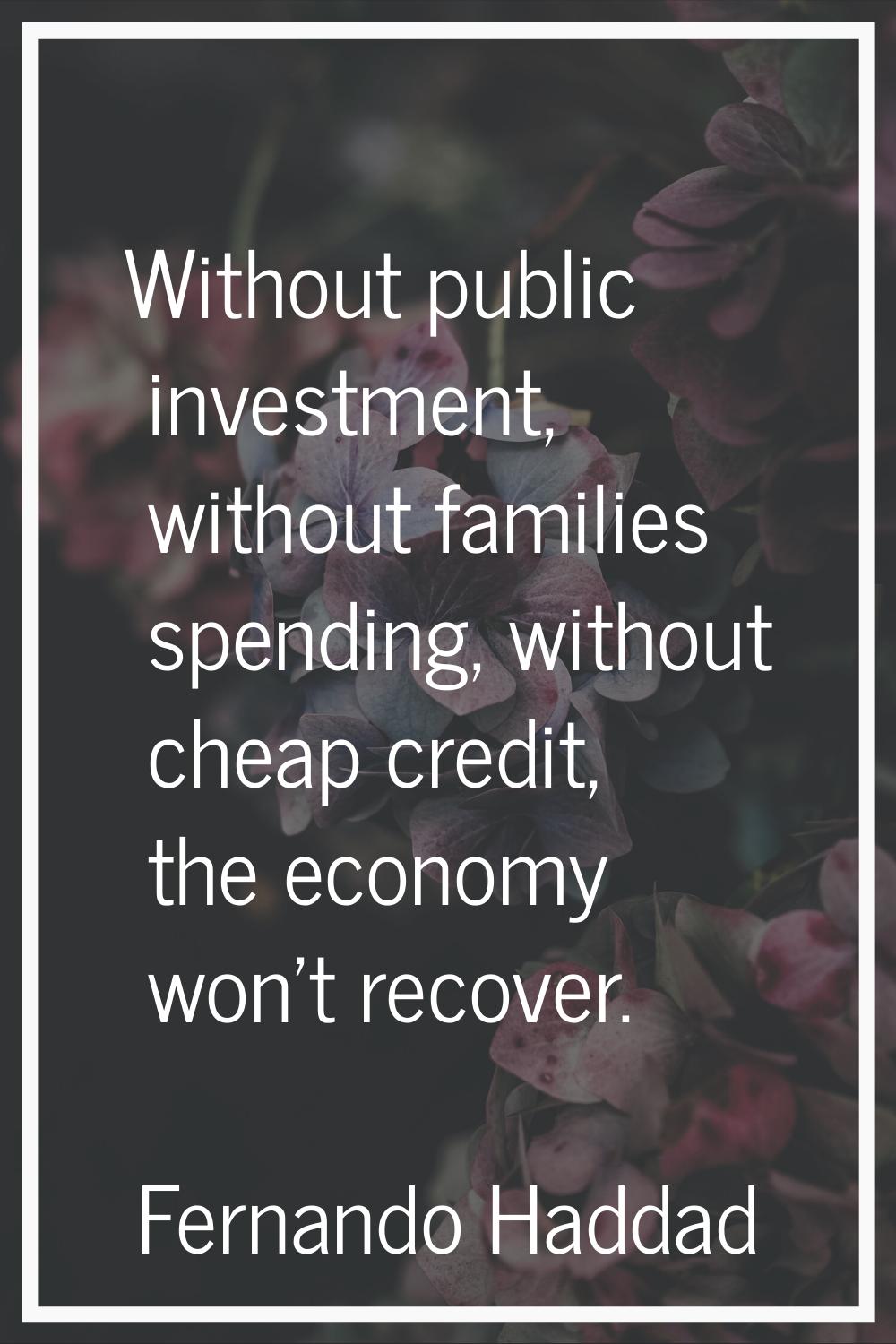 Without public investment, without families spending, without cheap credit, the economy won't recov