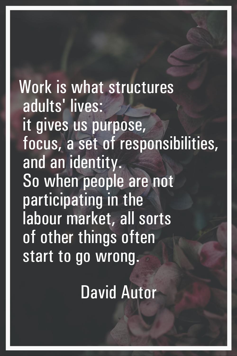 Work is what structures adults' lives: it gives us purpose, focus, a set of responsibilities, and a