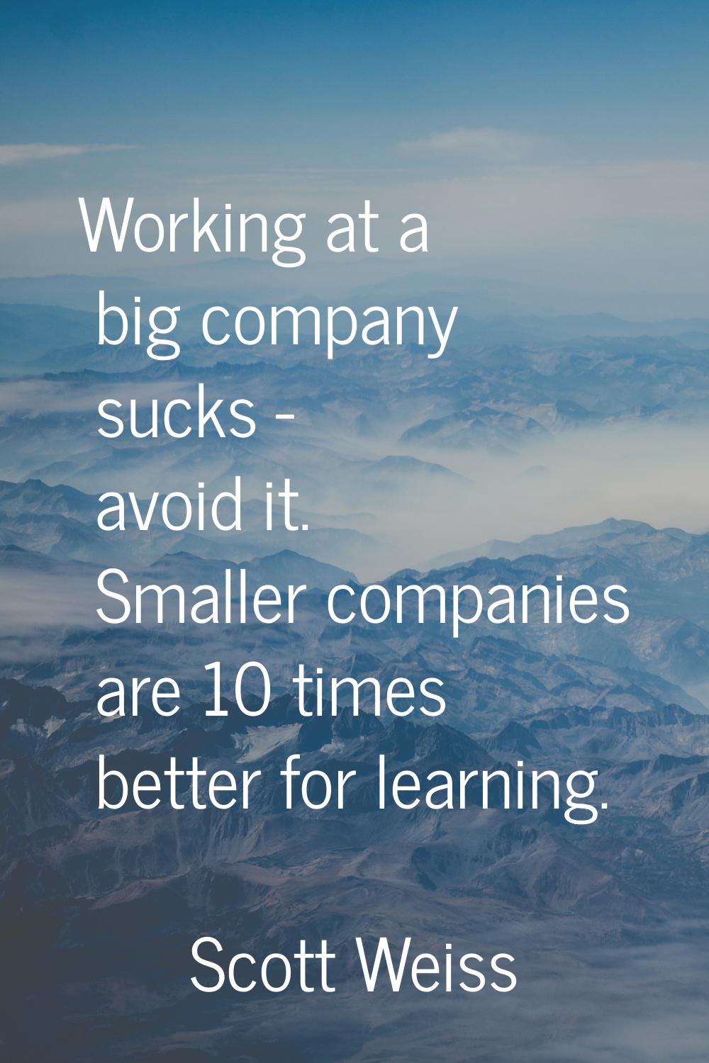 Working at a big company sucks - avoid it. Smaller companies are 10 times better for learning.