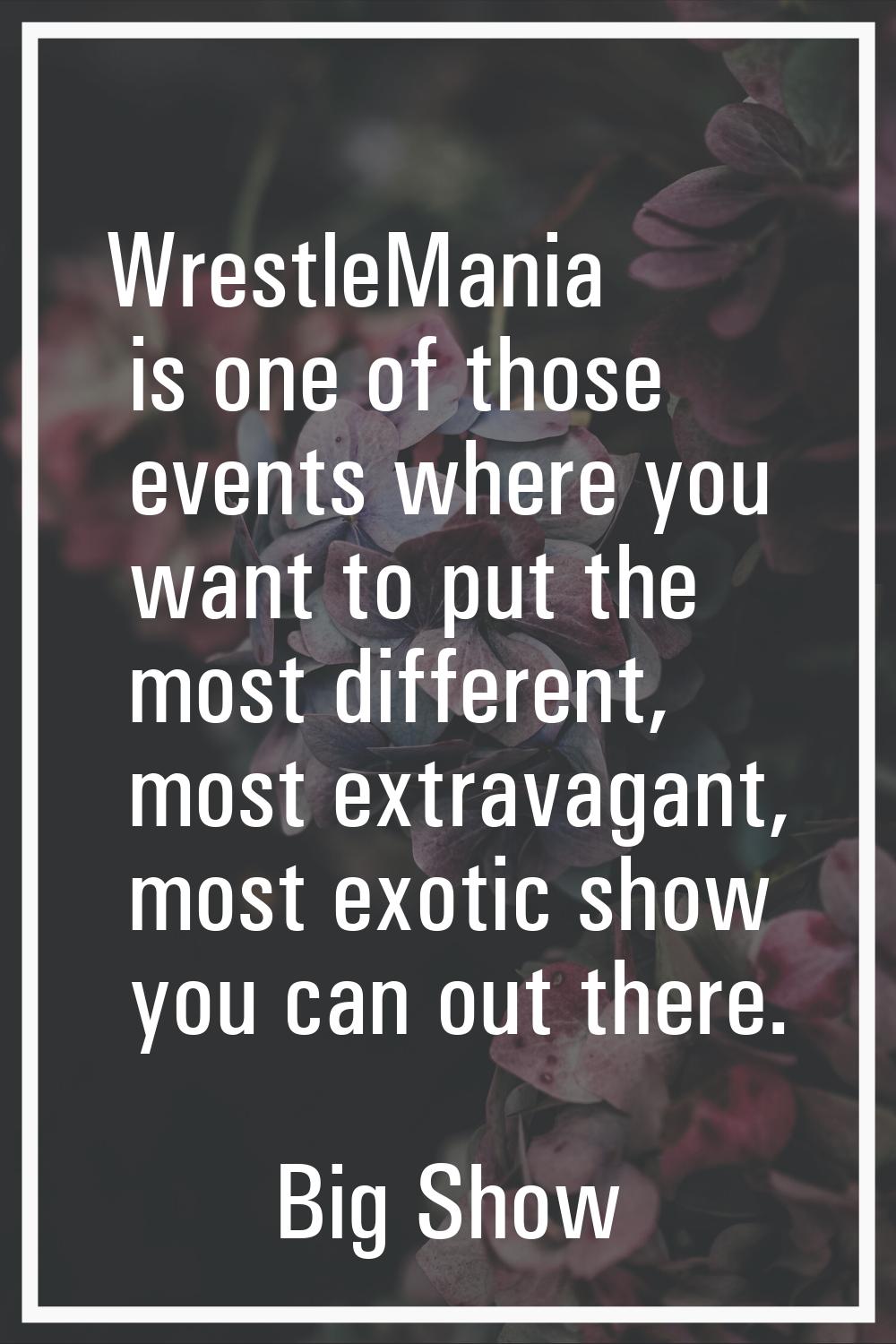 WrestleMania is one of those events where you want to put the most different, most extravagant, mos