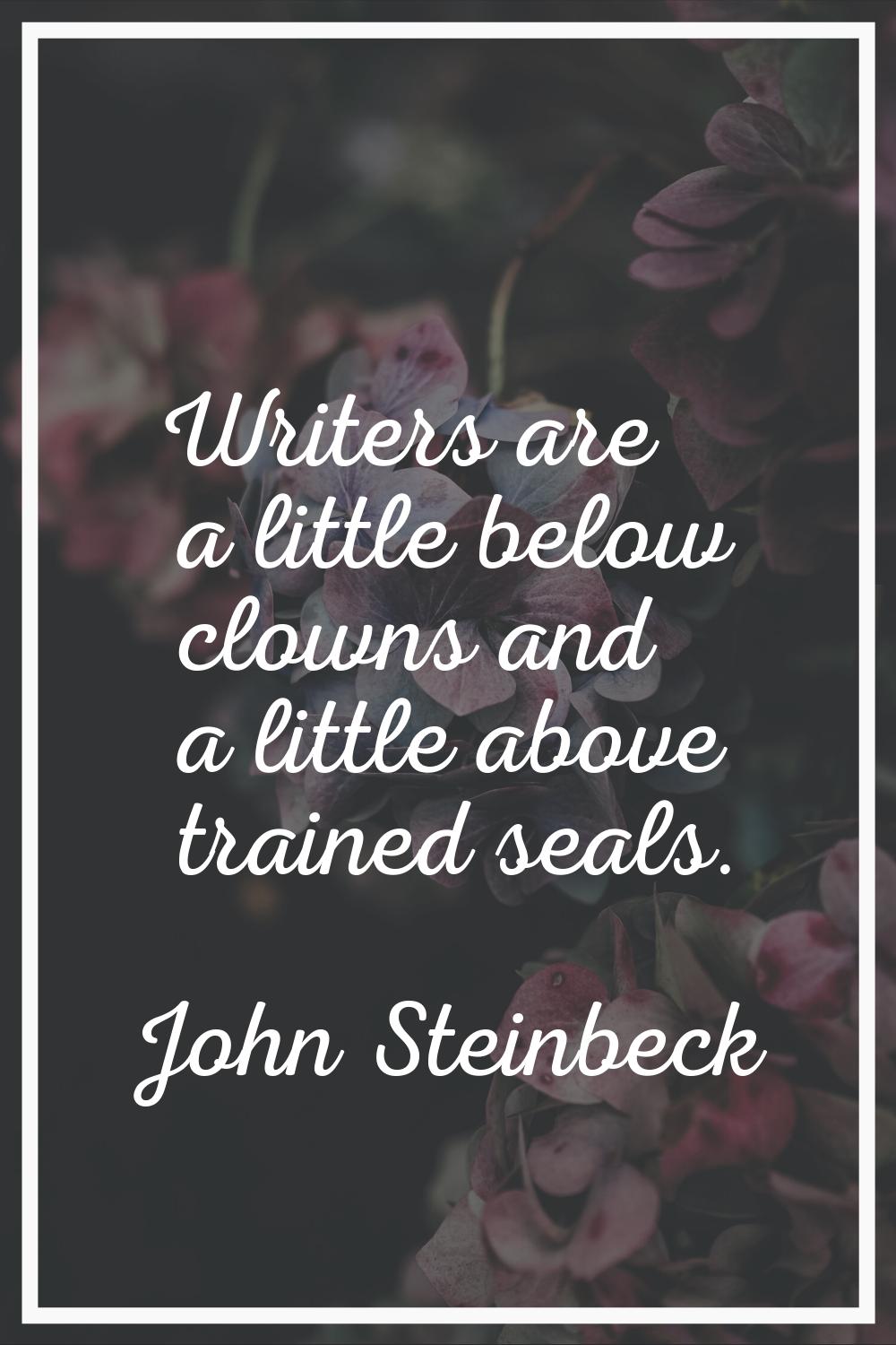 Writers are a little below clowns and a little above trained seals.