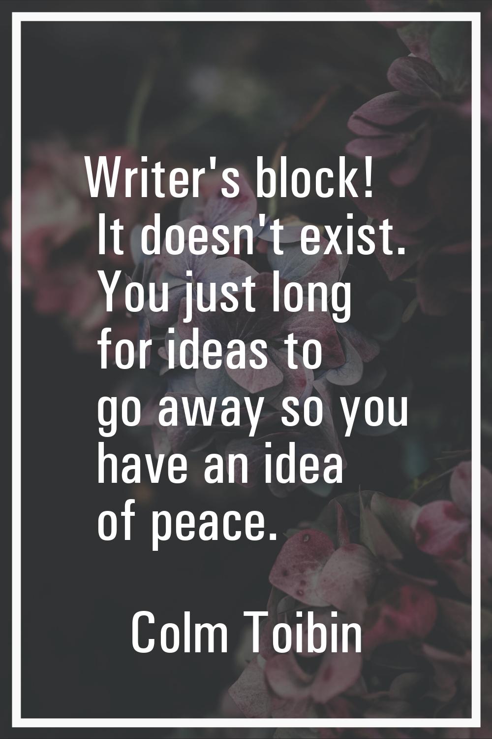 Writer's block! It doesn't exist. You just long for ideas to go away so you have an idea of peace.