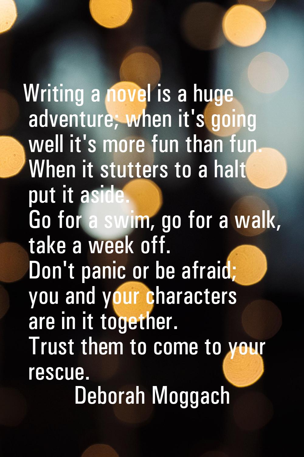 Writing a novel is a huge adventure; when it's going well it's more fun than fun. When it stutters 