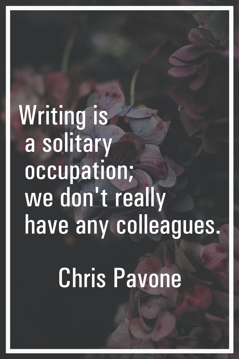 Writing is a solitary occupation; we don't really have any colleagues.