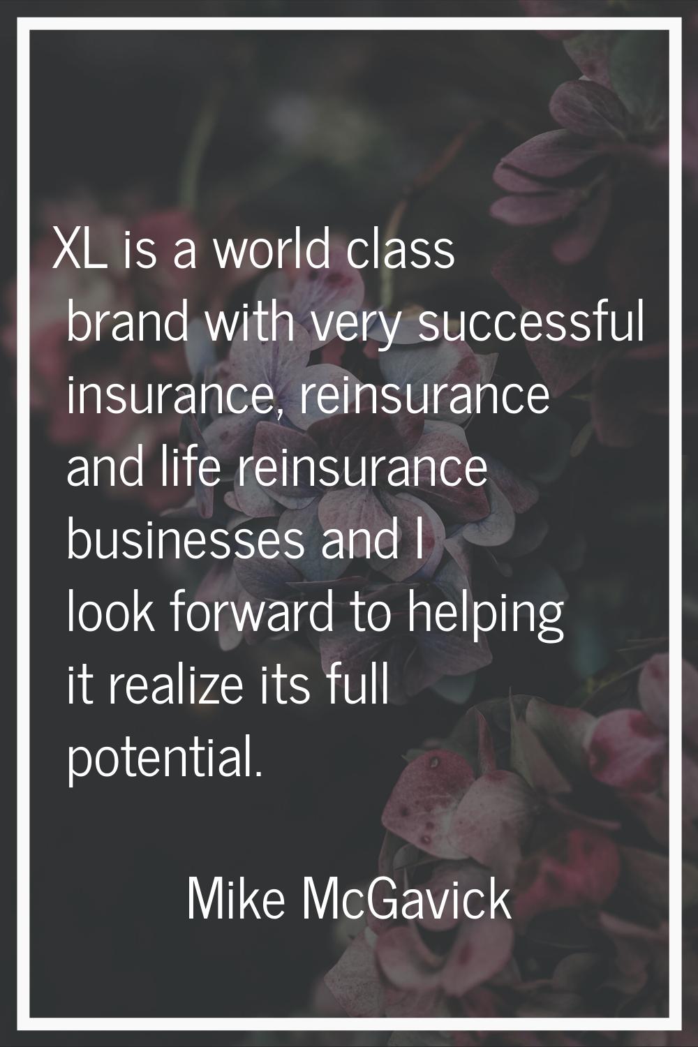 XL is a world class brand with very successful insurance, reinsurance and life reinsurance business