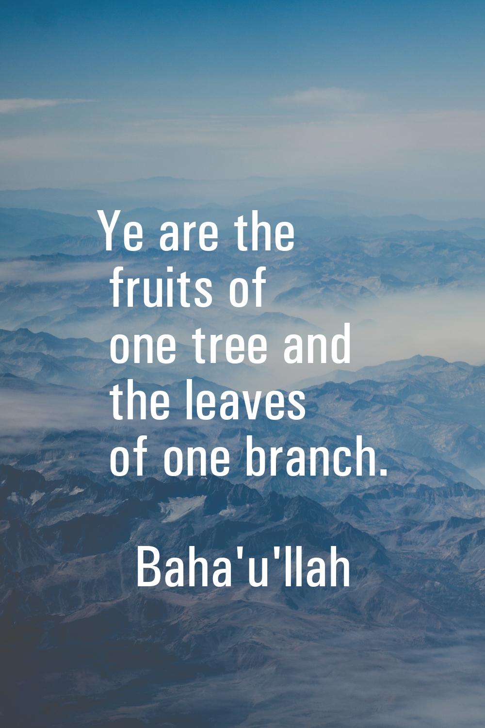 Ye are the fruits of one tree and the leaves of one branch.