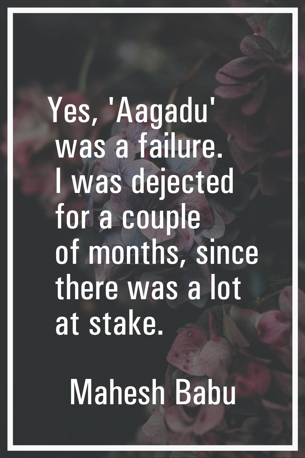 Yes, 'Aagadu' was a failure. I was dejected for a couple of months, since there was a lot at stake.