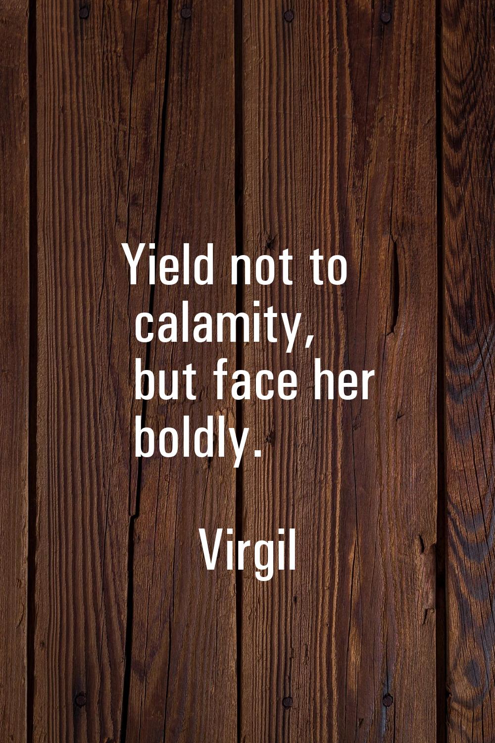Yield not to calamity, but face her boldly.