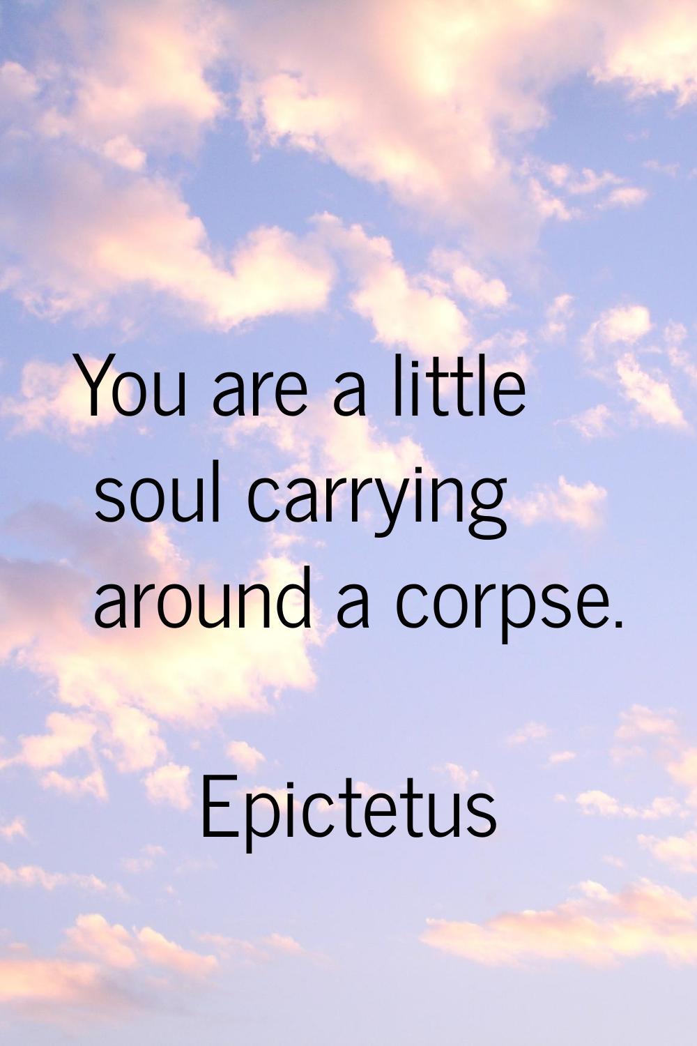 You are a little soul carrying around a corpse.