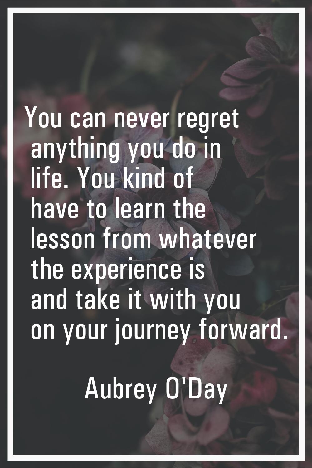 You can never regret anything you do in life. You kind of have to learn the lesson from whatever th