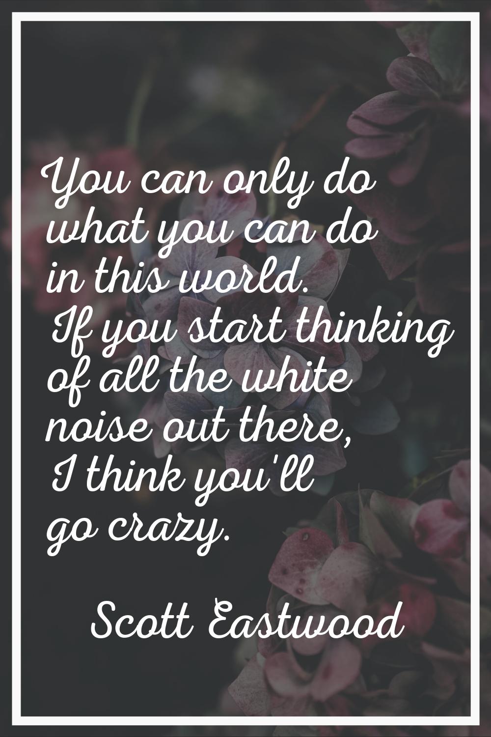 You can only do what you can do in this world. If you start thinking of all the white noise out the
