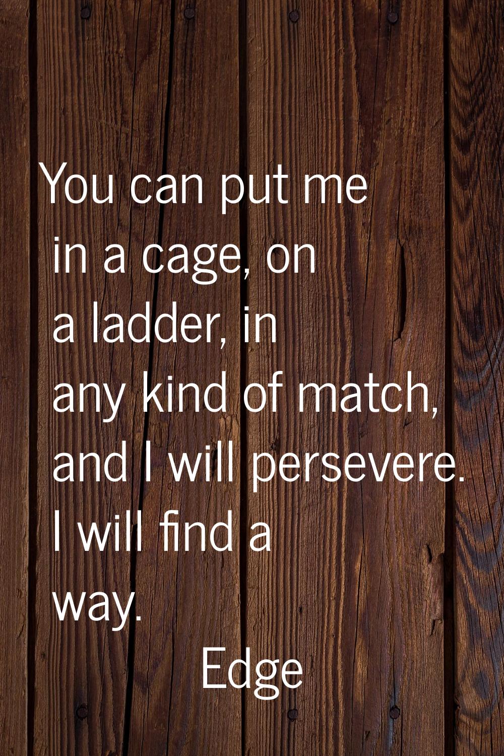 You can put me in a cage, on a ladder, in any kind of match, and I will persevere. I will find a wa