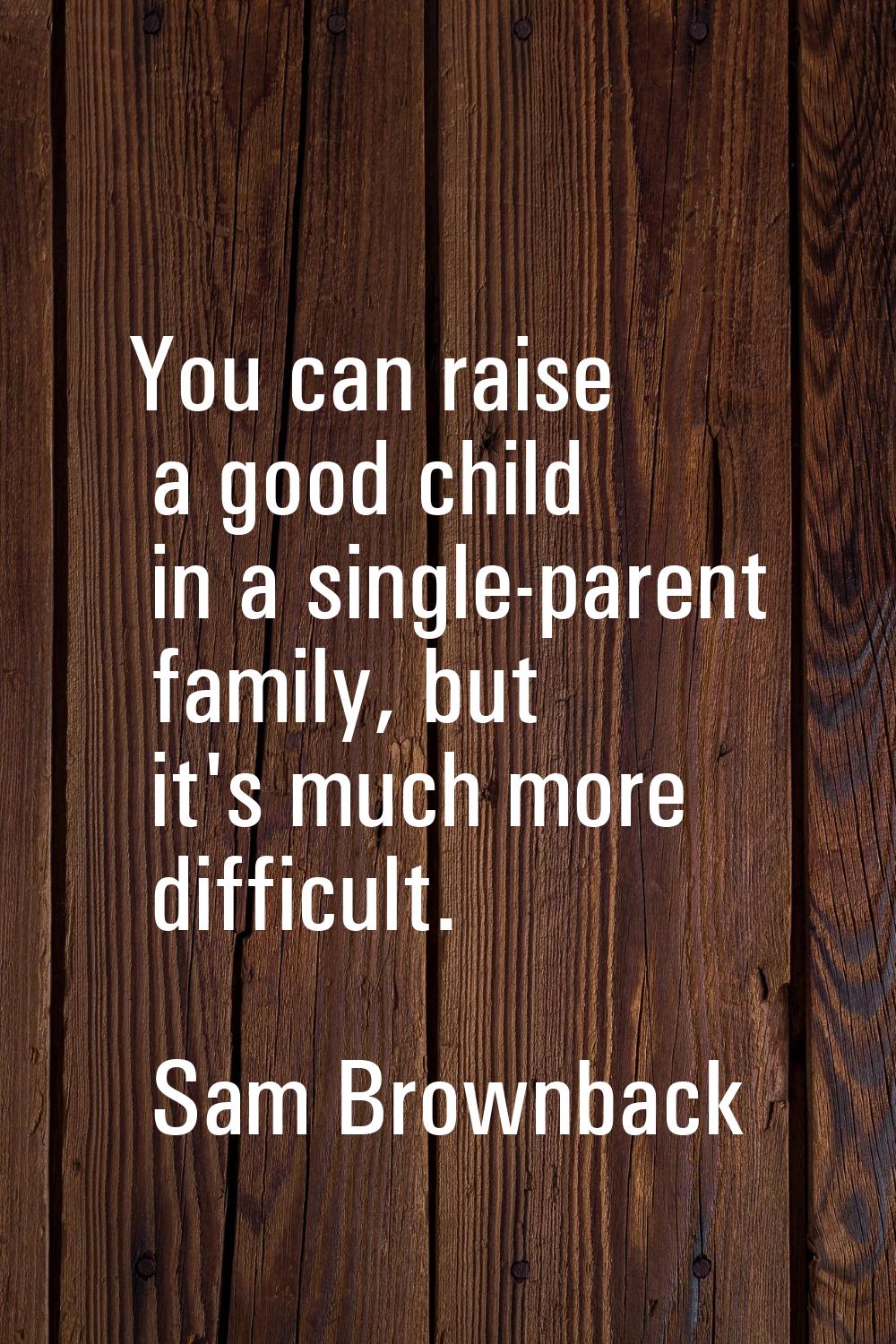 You can raise a good child in a single-parent family, but it's much more difficult.