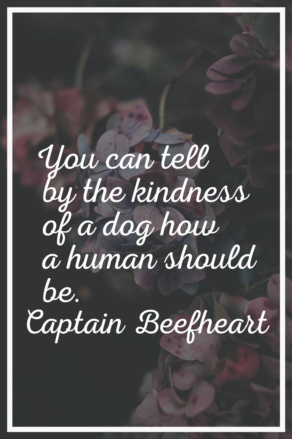 You can tell by the kindness of a dog how a human should be.