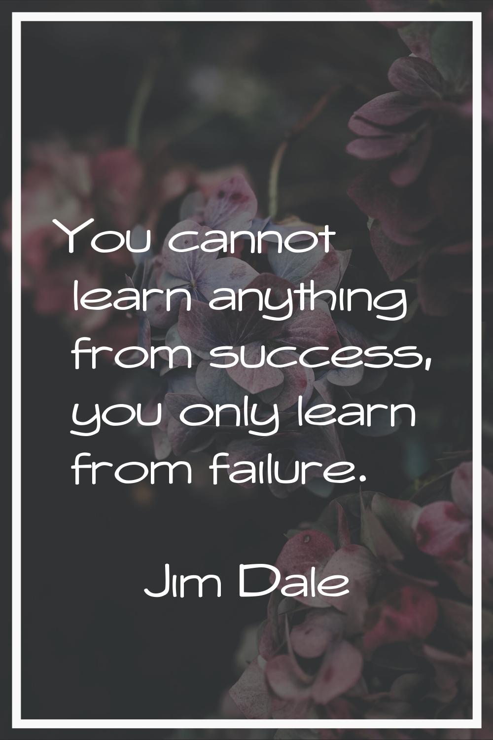 You cannot learn anything from success, you only learn from failure.
