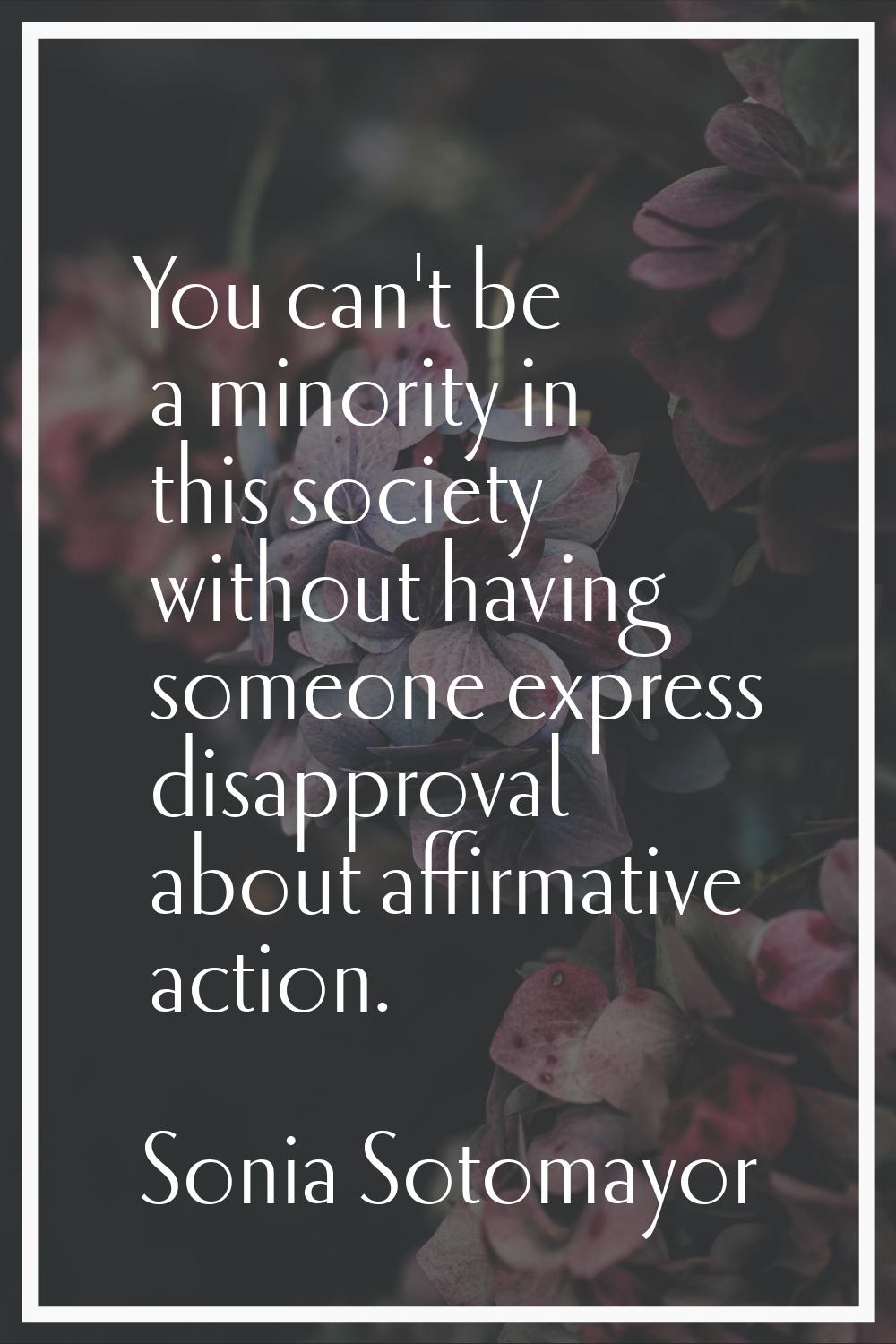 You can't be a minority in this society without having someone express disapproval about affirmativ