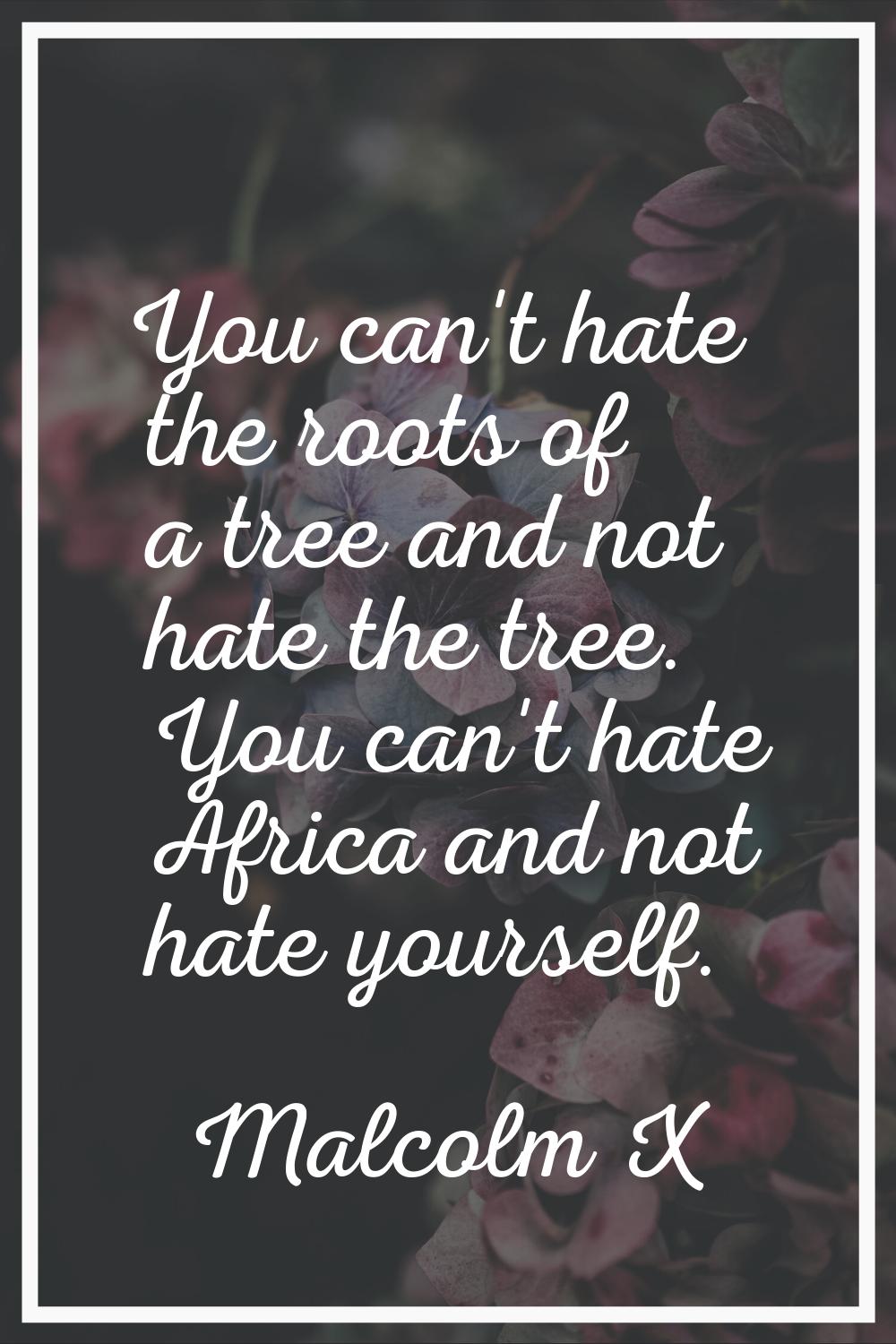 You can't hate the roots of a tree and not hate the tree. You can't hate Africa and not hate yourse