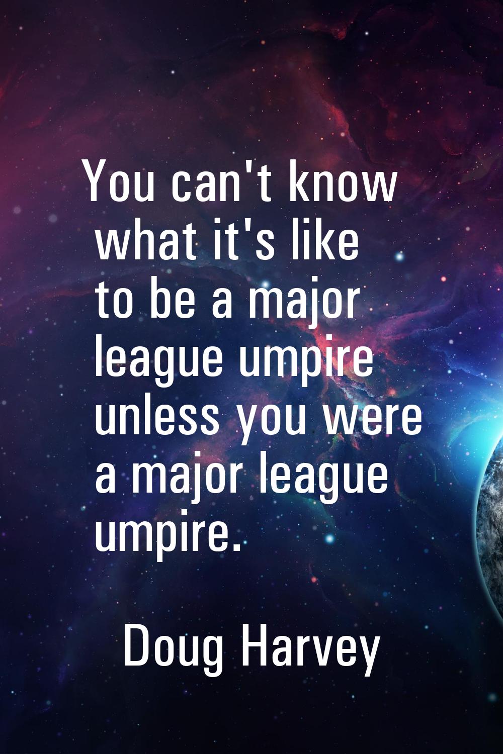 You can't know what it's like to be a major league umpire unless you were a major league umpire.