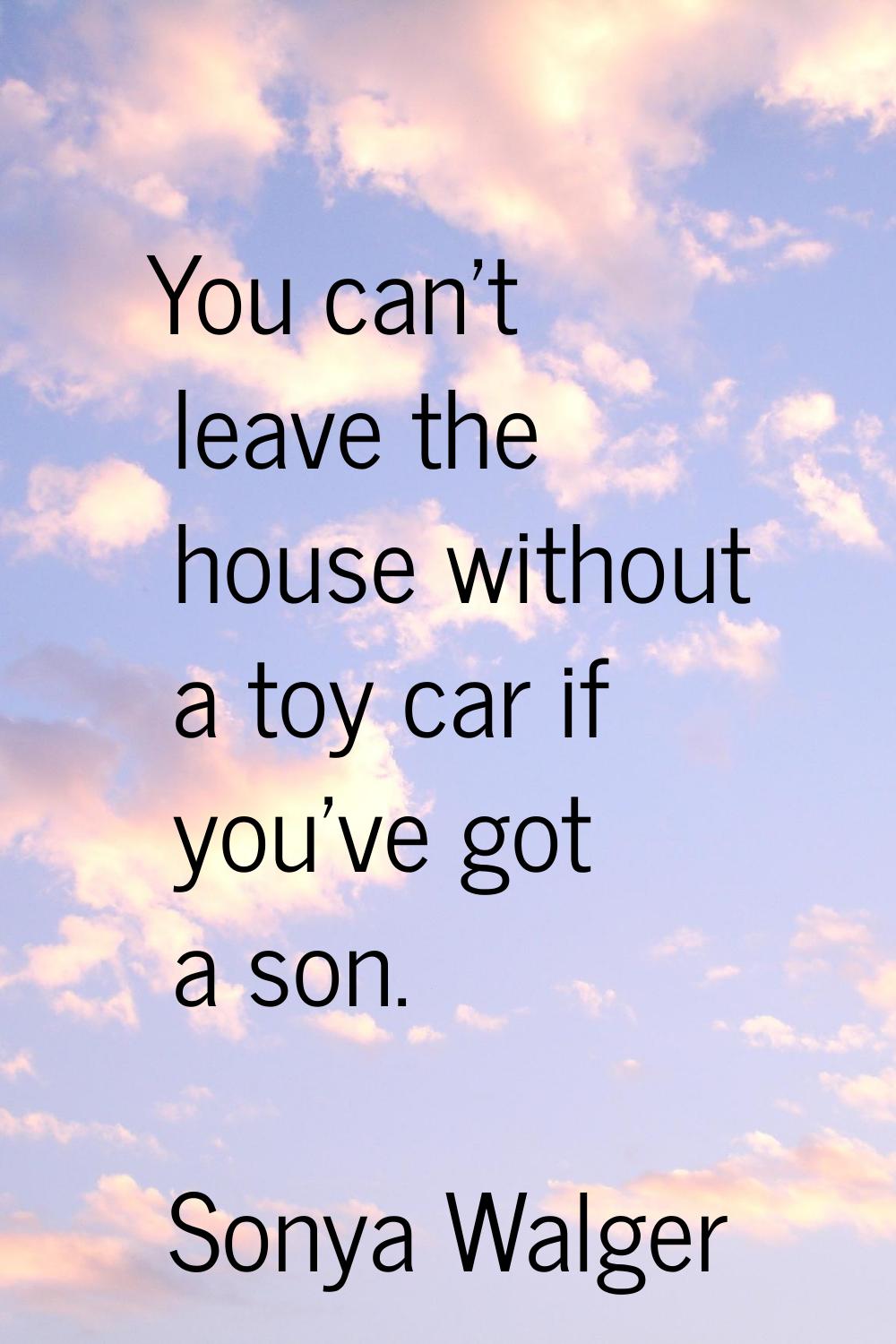 You can't leave the house without a toy car if you've got a son.