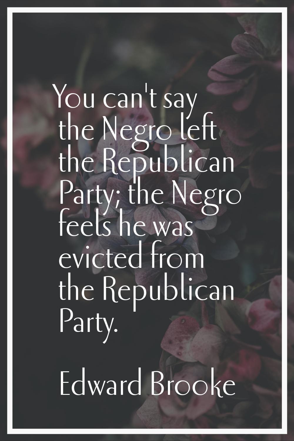 You can't say the Negro left the Republican Party; the Negro feels he was evicted from the Republic