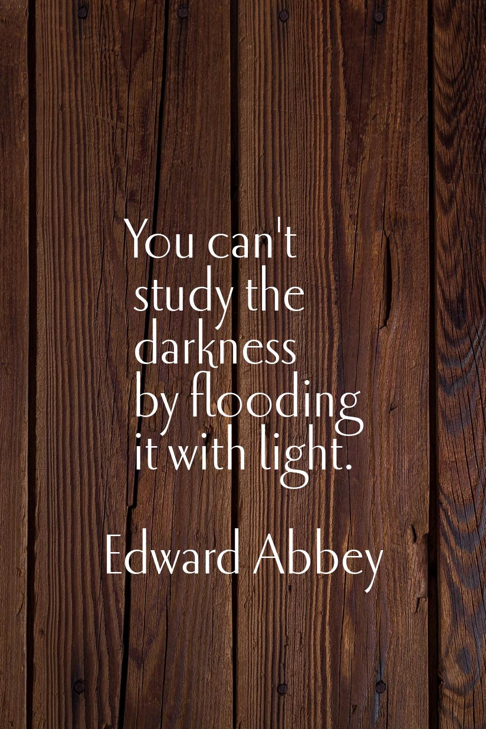 You can't study the darkness by flooding it with light.