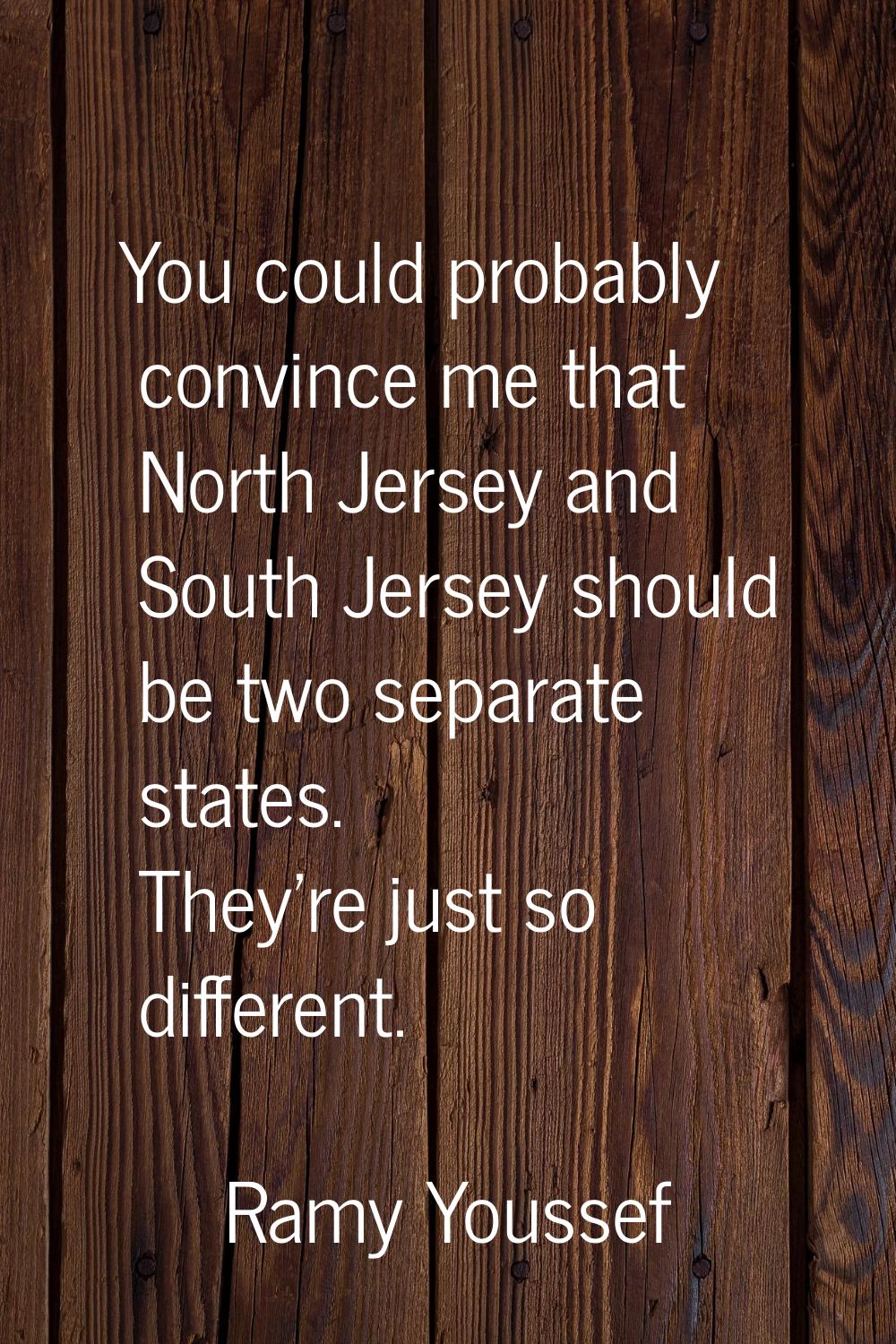 You could probably convince me that North Jersey and South Jersey should be two separate states. Th