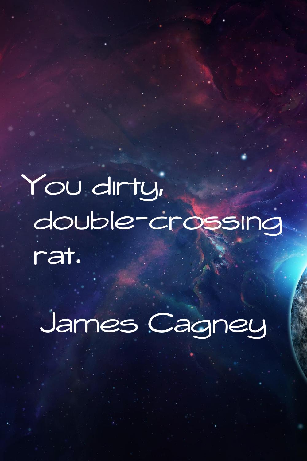 You dirty, double-crossing rat.