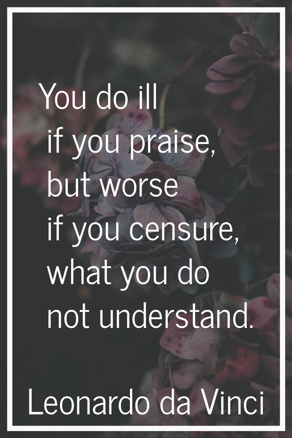 You do ill if you praise, but worse if you censure, what you do not understand.