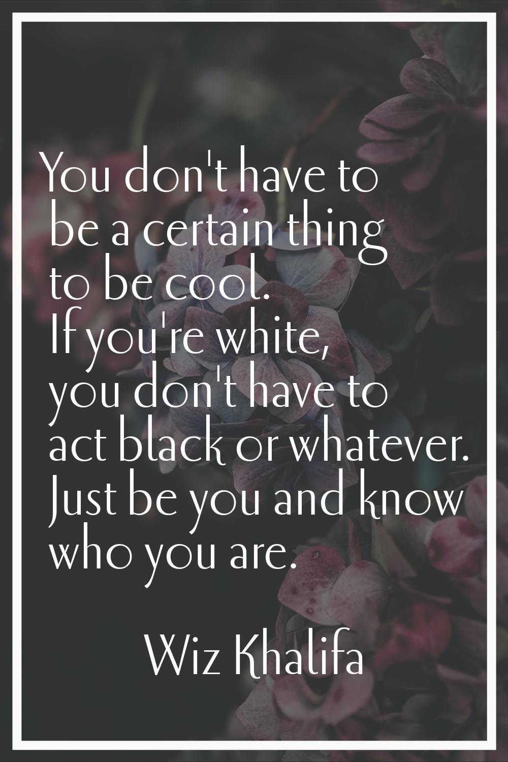 You don't have to be a certain thing to be cool. If you're white, you don't have to act black or wh