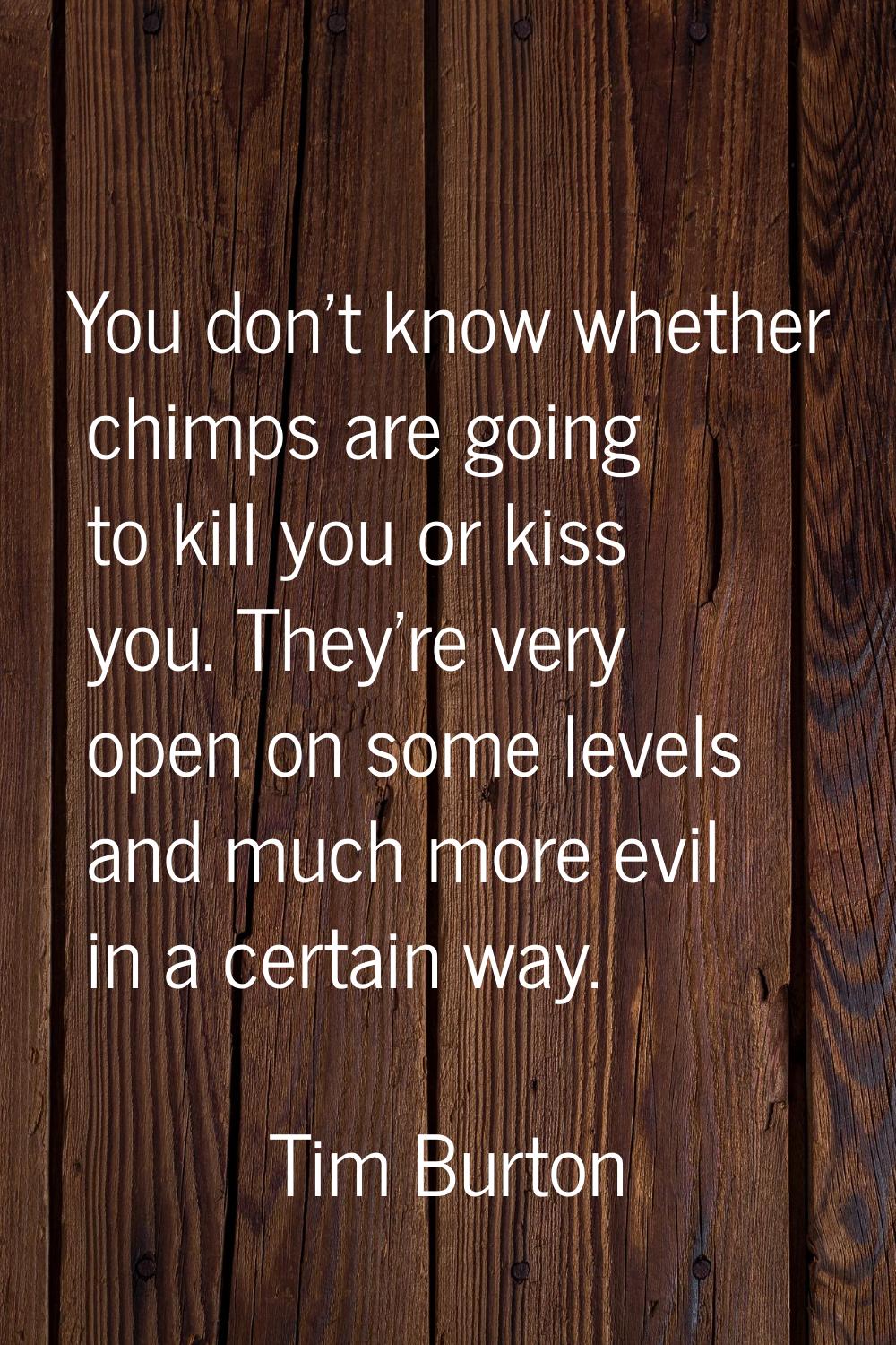 You don't know whether chimps are going to kill you or kiss you. They're very open on some levels a