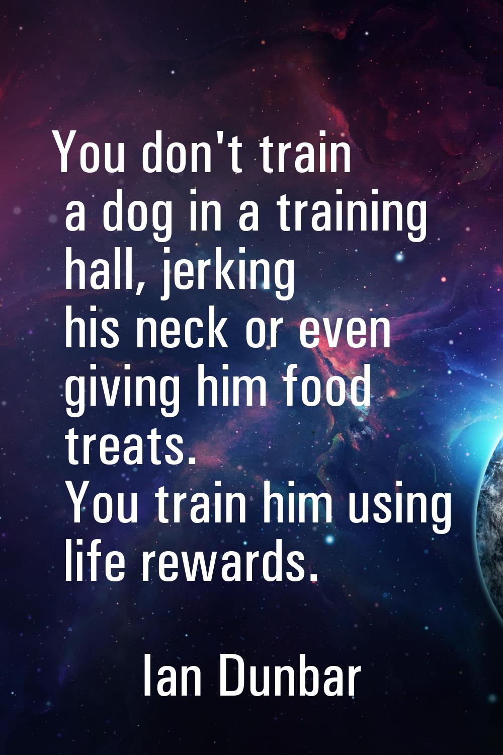 You don't train a dog in a training hall, jerking his neck or even giving him food treats. You trai