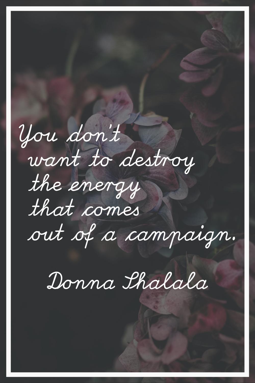 You don't want to destroy the energy that comes out of a campaign.