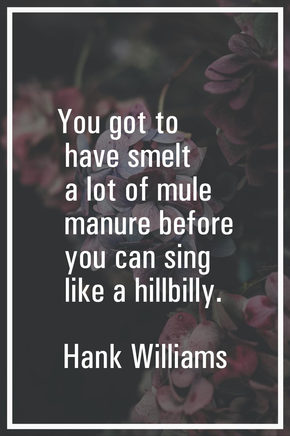 You got to have smelt a lot of mule manure before you can sing like a hillbilly.