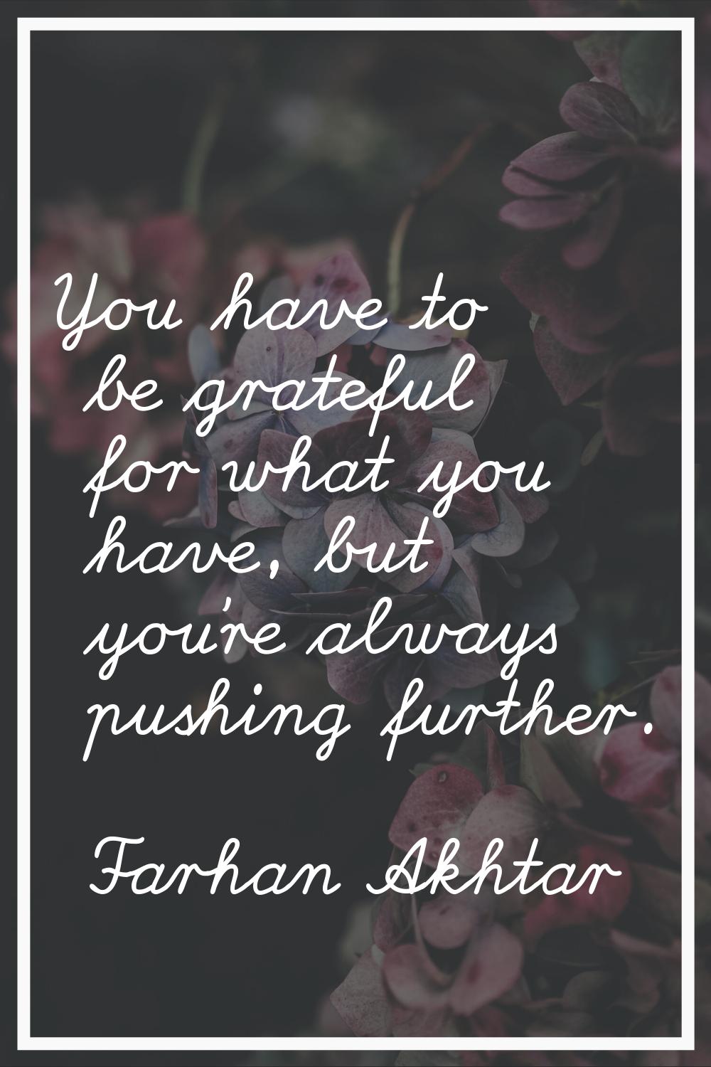 You have to be grateful for what you have, but you're always pushing further.
