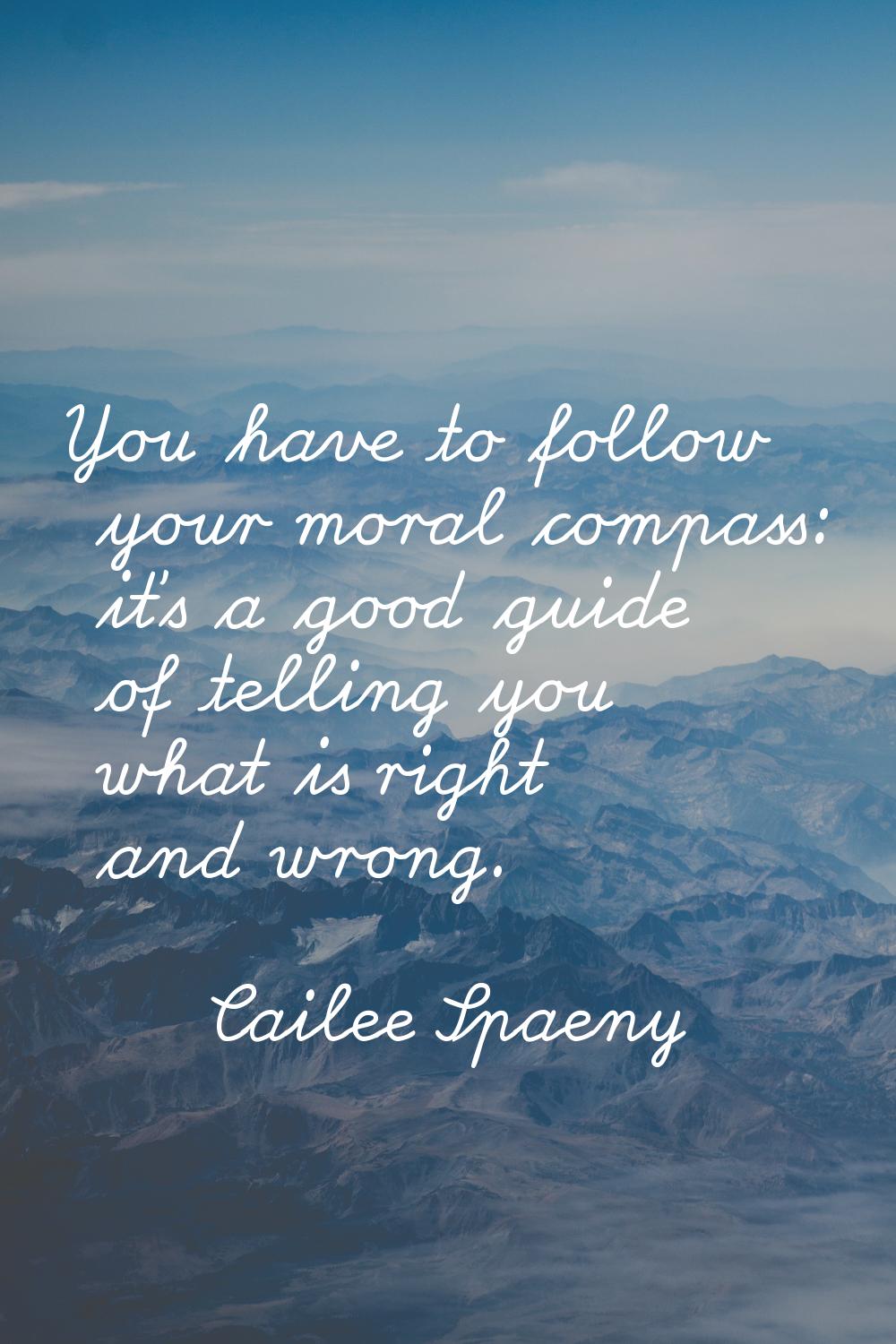 You have to follow your moral compass: it's a good guide of telling you what is right and wrong.