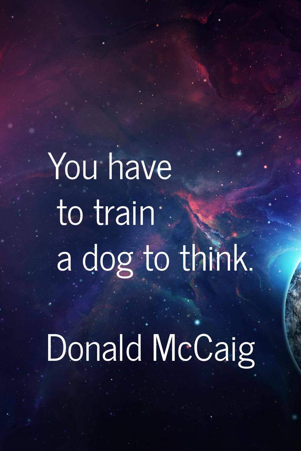 You have to train a dog to think.