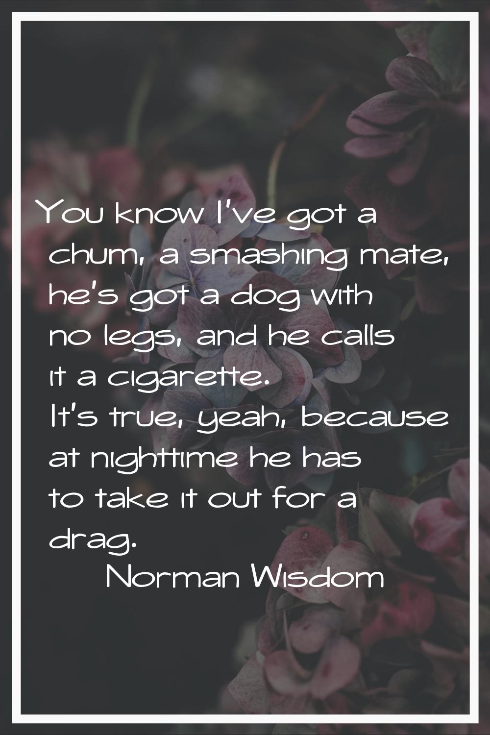 You know I've got a chum, a smashing mate, he's got a dog with no legs, and he calls it a cigarette