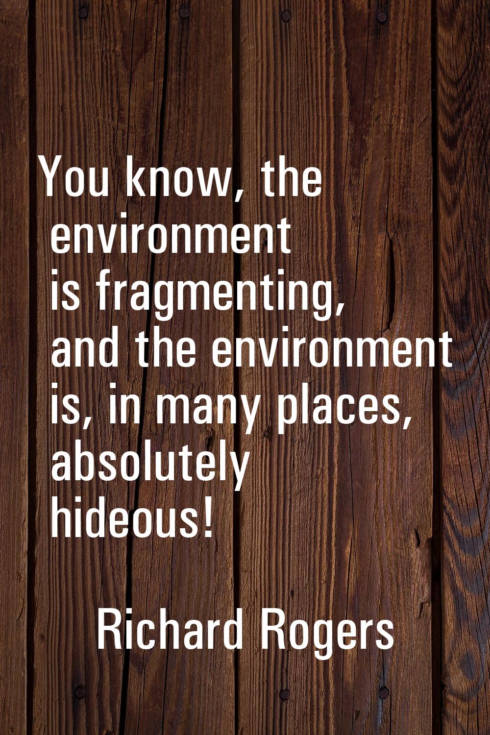 You know, the environment is fragmenting, and the environment is, in many places, absolutely hideou