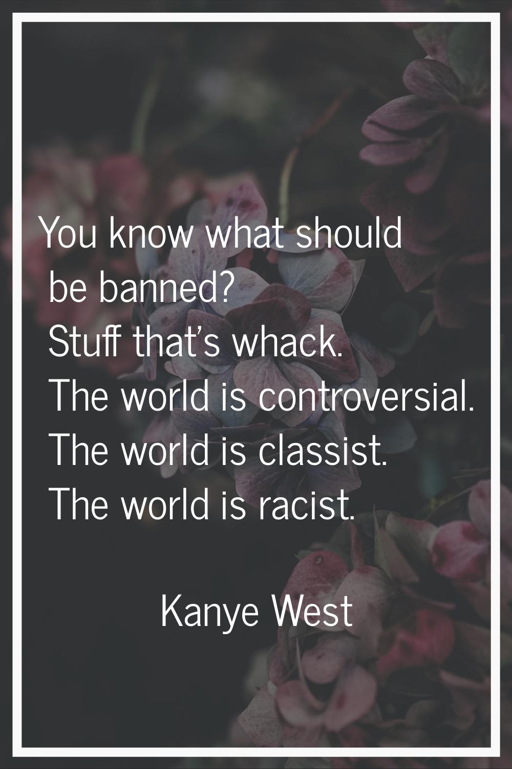 You know what should be banned? Stuff that's whack. The world is controversial. The world is classi