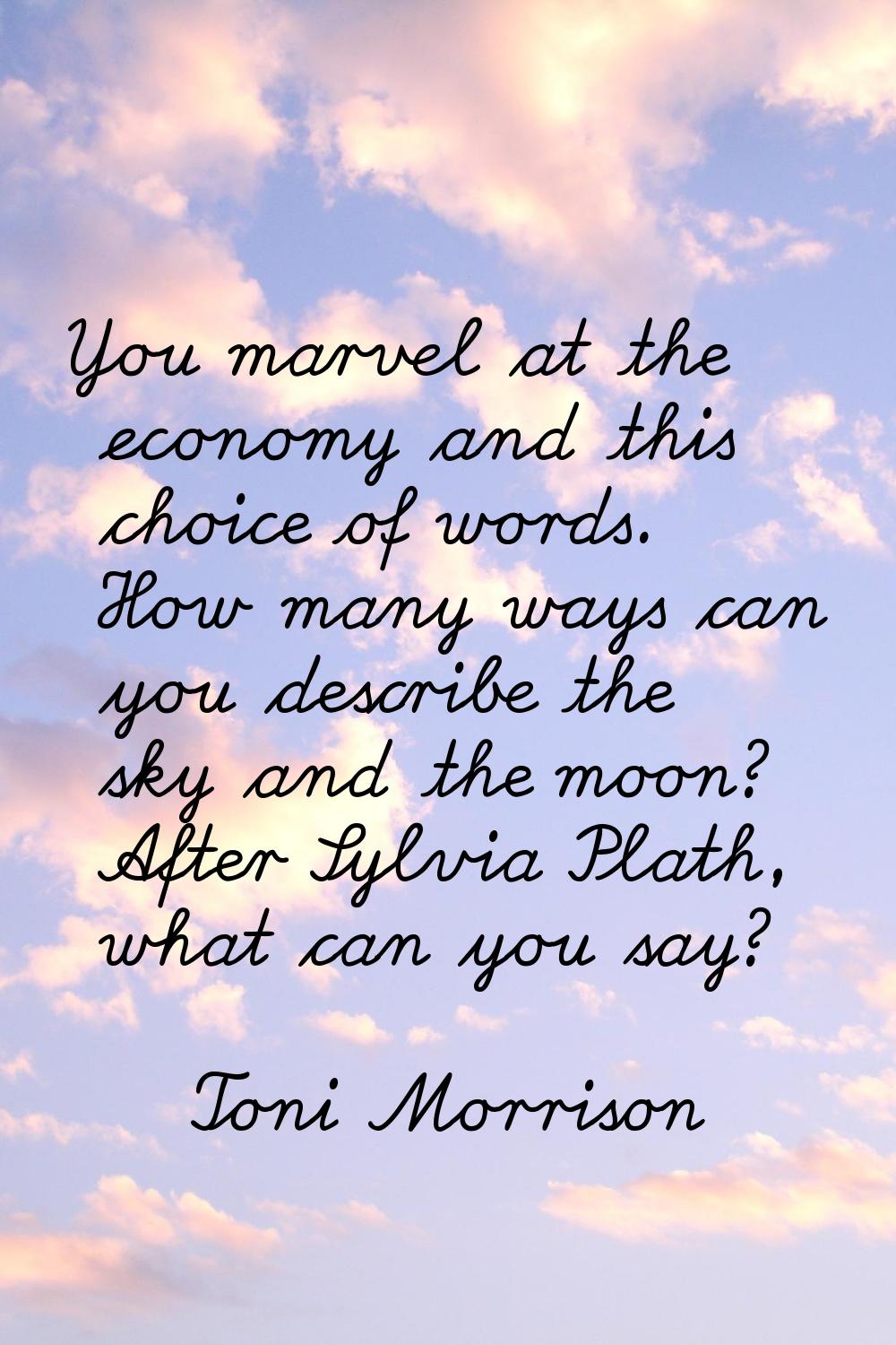 You marvel at the economy and this choice of words. How many ways can you describe the sky and the 