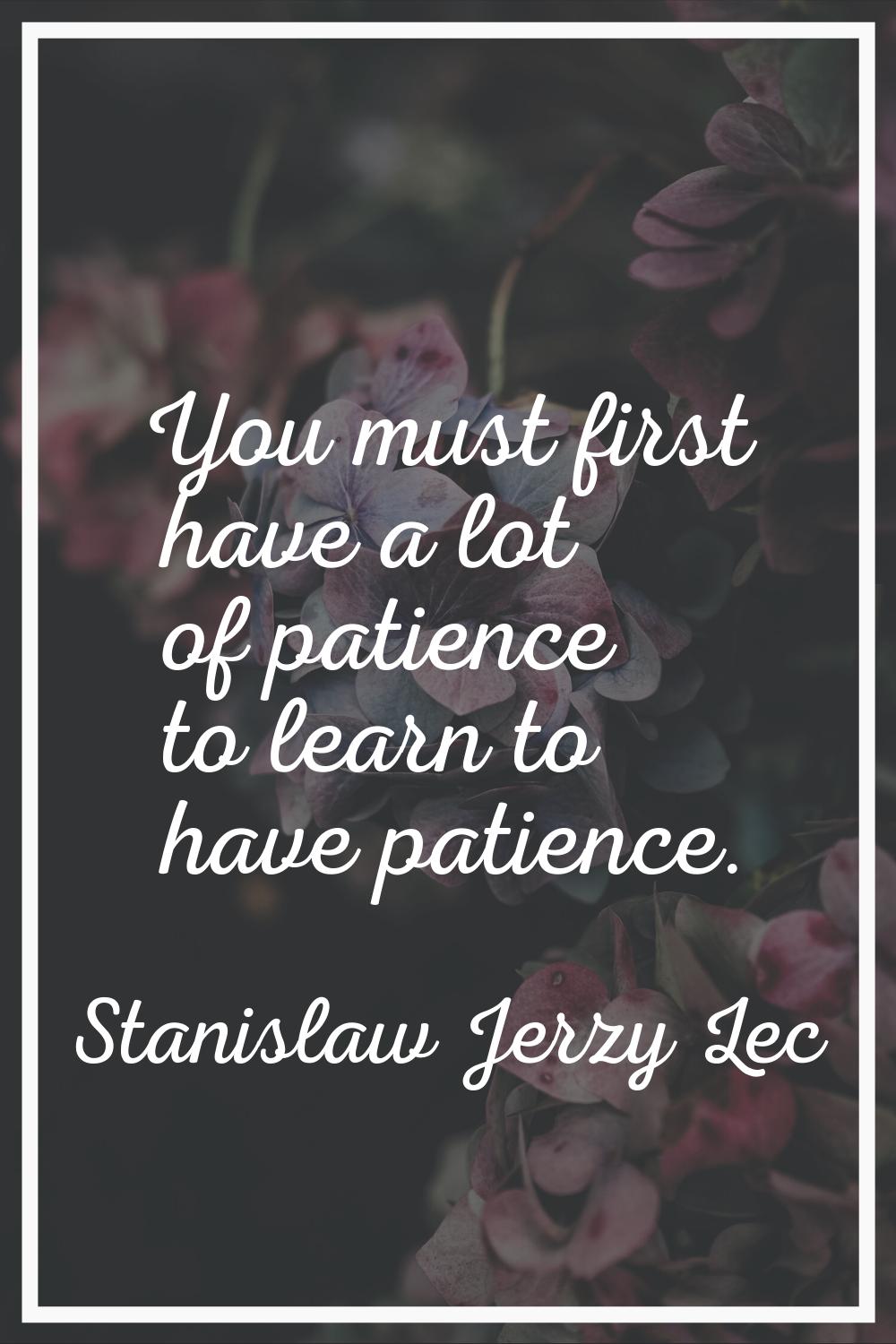 You must first have a lot of patience to learn to have patience.