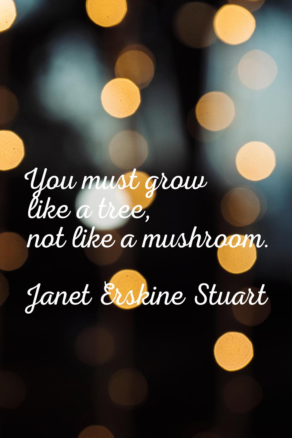 You must grow like a tree, not like a mushroom.